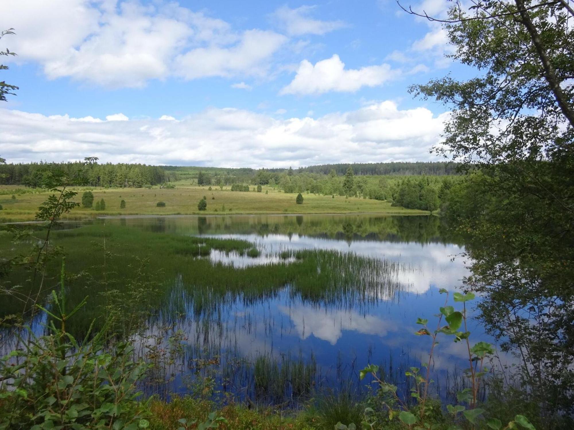 Alluring Holiday Home In Waimes With Garden エクステリア 写真